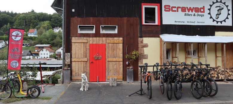 Bild Fahrradladen