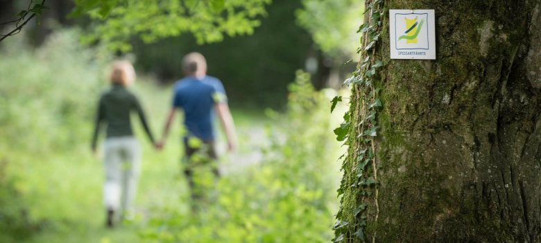 Wandern_Familie_Beilstein_Lettgenbrunn_Jossgrund_2017