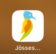 Das App-Icon auf dem Startbildschirm